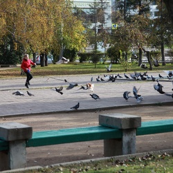 Иркутск животные и растения